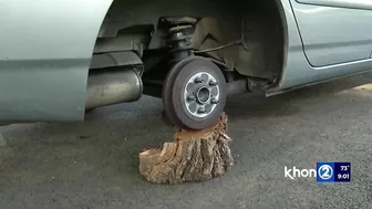 Ewa Beach man left with tree trunks after thieves steal car tires and target family treasure