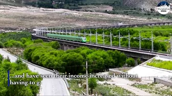 Spring Festival travel rush arrives in Tibet's bullet trains with music and joy