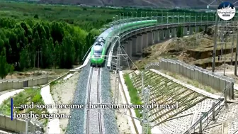 Spring Festival travel rush arrives in Tibet's bullet trains with music and joy