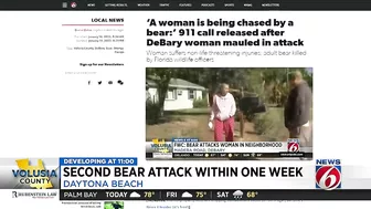 FWC looking for black bear after man attacked at Daytona Beach home