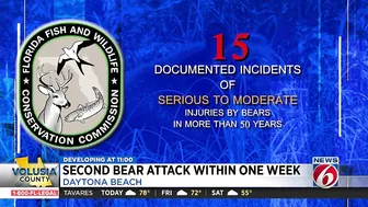 FWC looking for black bear after man attacked at Daytona Beach home