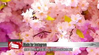 Exhibit made for Instagram opens in Taipei