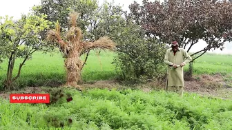 Bushman Prank!! Best Of The Year Compilation 2022 Bushman Prank - Bushman Prank in Pakistan#Viral