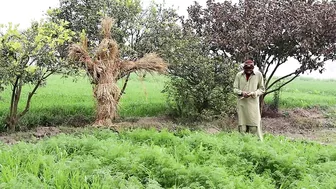 Bushman Prank!! Best Of The Year Compilation 2022 Bushman Prank - Bushman Prank in Pakistan#Viral