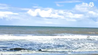 The Beach At Noon Time/Moore Park Beach || JLO SEARLE