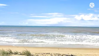 The Beach At Noon Time/Moore Park Beach || JLO SEARLE