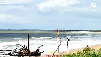 The Beach At Noon Time/Moore Park Beach || JLO SEARLE