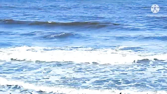 The Beach At Noon Time/Moore Park Beach || JLO SEARLE