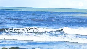 The Beach At Noon Time/Moore Park Beach || JLO SEARLE