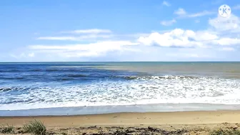 The Beach At Noon Time/Moore Park Beach || JLO SEARLE