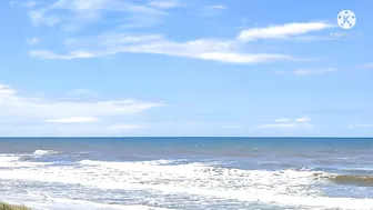 The Beach At Noon Time/Moore Park Beach || JLO SEARLE