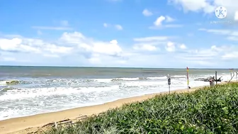 The Beach At Noon Time/Moore Park Beach || JLO SEARLE