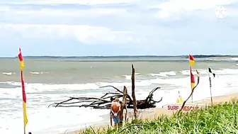 The Beach At Noon Time/Moore Park Beach || JLO SEARLE