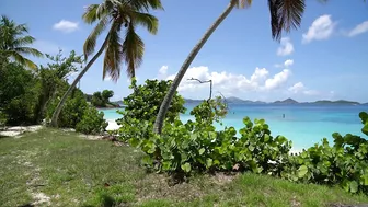 Honeymoon Beach - St. John, USVI