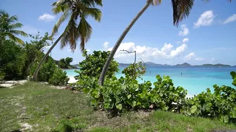 Honeymoon Beach - St. John, USVI