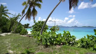 Honeymoon Beach - St. John, USVI