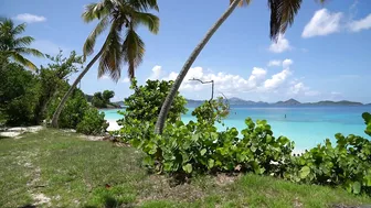 Honeymoon Beach - St. John, USVI