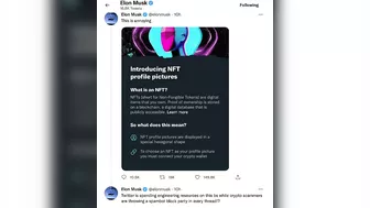 You Can Now Verify Your NFTs On Twitter And Here's How | Twitter Blue NFT’s