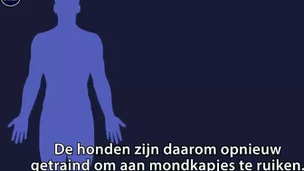 Waarom omikron voor coronahonden moeilijker te ruiken is | NU.nl