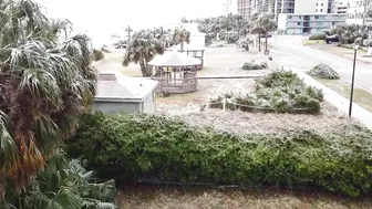 Myrtle Beach Covered In Ice, Ice Storm January 2022 #myrtlebeach #Ice #Jasper #winter