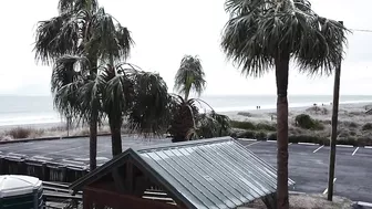 Myrtle Beach Covered In Ice, Ice Storm January 2022 #myrtlebeach #Ice #Jasper #winter