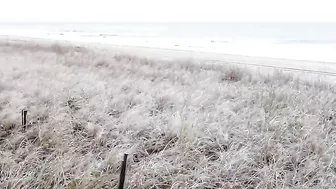 Myrtle Beach Covered In Ice, Ice Storm January 2022 #myrtlebeach #Ice #Jasper #winter