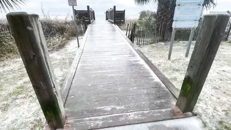 Myrtle Beach Covered In Ice, Ice Storm January 2022 #myrtlebeach #Ice #Jasper #winter