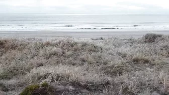 Myrtle Beach Covered In Ice, Ice Storm January 2022 #myrtlebeach #Ice #Jasper #winter