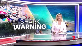 Shark sightings along Victoria’s peninsula cause beach closures | 7NEWS