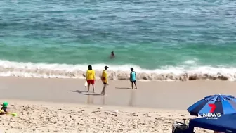 Shark sightings along Victoria’s peninsula cause beach closures | 7NEWS