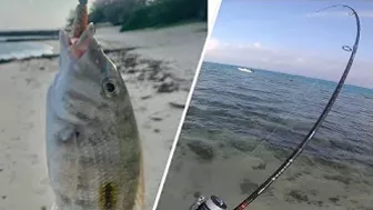 Quick Shore Casting at Blue Bay- Beach Fishing in Mauritius 2022..