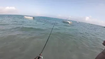 Quick Shore Casting at Blue Bay- Beach Fishing in Mauritius 2022..