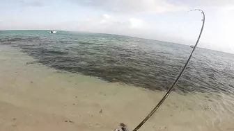 Quick Shore Casting at Blue Bay- Beach Fishing in Mauritius 2022..