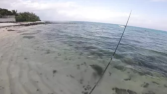 Quick Shore Casting at Blue Bay- Beach Fishing in Mauritius 2022..