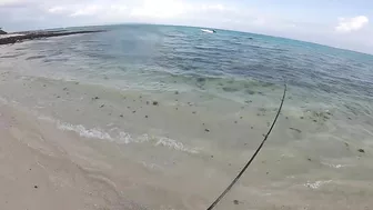 Quick Shore Casting at Blue Bay- Beach Fishing in Mauritius 2022..