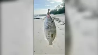 Quick Shore Casting at Blue Bay- Beach Fishing in Mauritius 2022..