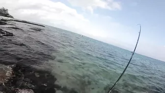 Quick Shore Casting at Blue Bay- Beach Fishing in Mauritius 2022..