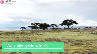 Travel Lykke  Kenya Itinerary Promotion Video