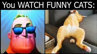 Mr incredible becoming canny (Your WATCH FUNNY CATS)