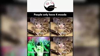 Funny Memes That Will Make You Laugh | Funny Memes | Dank Memes | Hilarious Memes Part 99