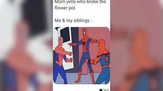 Memes of Your Sibling | Relatable Memes Compilation | MEMES |  #shorts 156