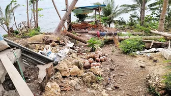 Bohol beach house build  1/25/22..CURVES...