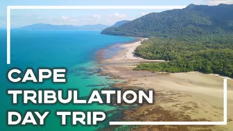 Cairns To Cape Tribulation Day Trip ???? (Inc Croc Spotting!) | Stoked For Travel