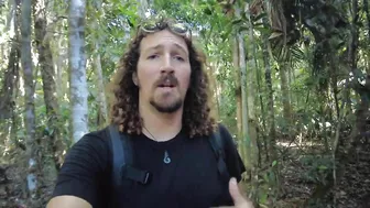 Cairns To Cape Tribulation Day Trip ???? (Inc Croc Spotting!) | Stoked For Travel