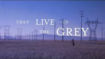 THEY LIVE IN THE GREY Official Trailer (2022)