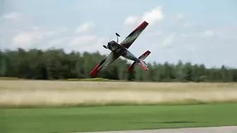 Going wild with the EXTRA 330LX || CARF-Models