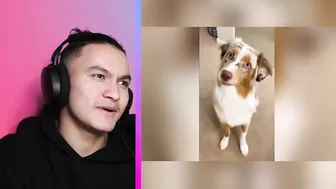 TikTok Pranks That Went TOO FAR...