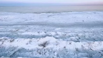 My first time to see a Frozen beach ???? #winterindenmark #frozenbeach #winterseason #shortvideo #dk