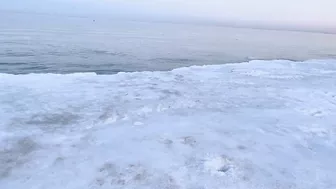 My first time to see a Frozen beach ???? #winterindenmark #frozenbeach #winterseason #shortvideo #dk