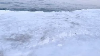 My first time to see a Frozen beach ???? #winterindenmark #frozenbeach #winterseason #shortvideo #dk